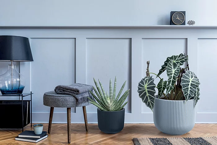 Prosperplast MILLY Garden Pot - 391mm (W) x 321mm (H)