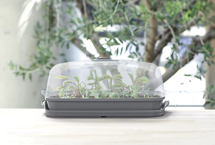 Kitchen Window Greenhouse