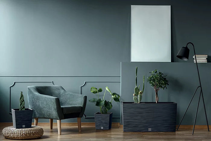 European Designed Garden Pots: The Secret to Elevating Your Auckland Outdoor Living Space