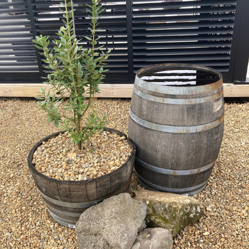 Wine Barrels