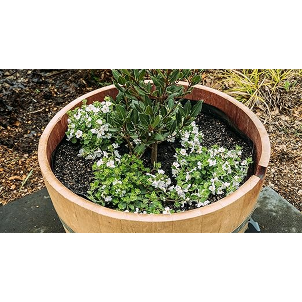 Full Oak Wine Barrel