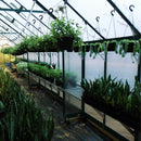 Winter Gardenz Greenhouse 10x16 (3220mm x 5138mm x 2850mm) - Polycarbonate