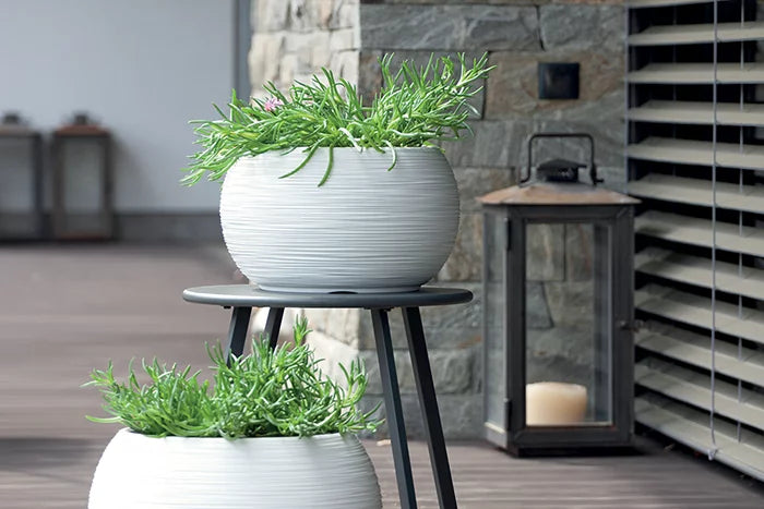 Prosperplast FURU Bowl Garden Pot - 569mm (W) x 445mm (H)