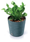 Prosperplast FURU Round Garden Pot - 300mm (w) x 294mm (h)