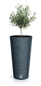 Prosperplast Furu Slim Line Round Flowerpot - 250mm (w) x 480mm (h)