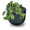 Prosperplast MILLY Garden Pot - 469mm (W) x 385mm (H)