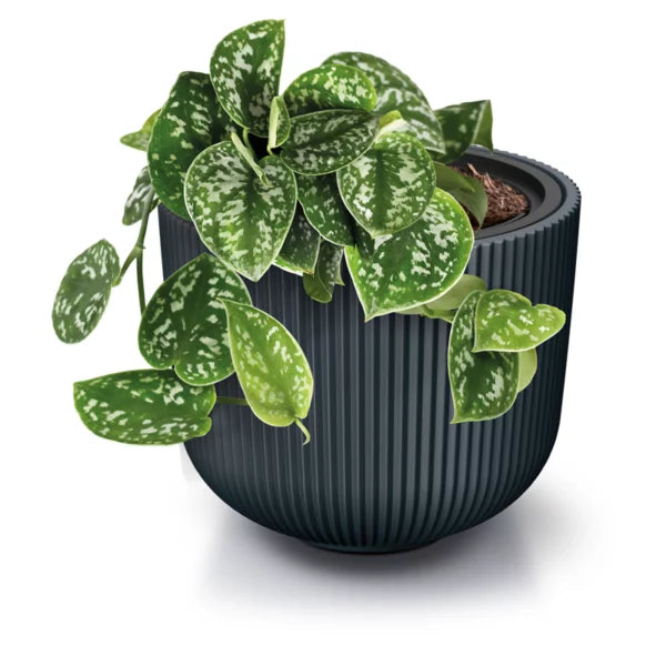 Prosperplast MILLY Garden Pot - 391mm (W) x 321mm (H)