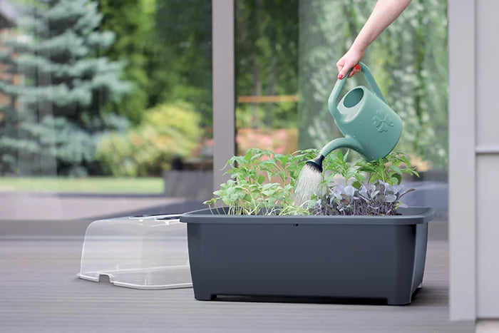Prosperplast  Respana XL Mini Greenhouse & Planter Box 770mm (L) x 580mm (W) x 963mm (H)”