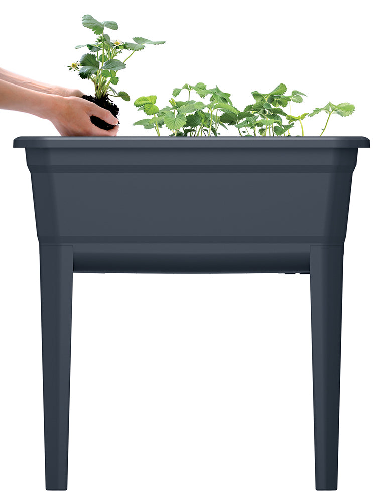 Prosperplast Respana Large "Mini" Greenhouse & Planter Box  749mm (L) x 368mm (W) x 777mm (H)