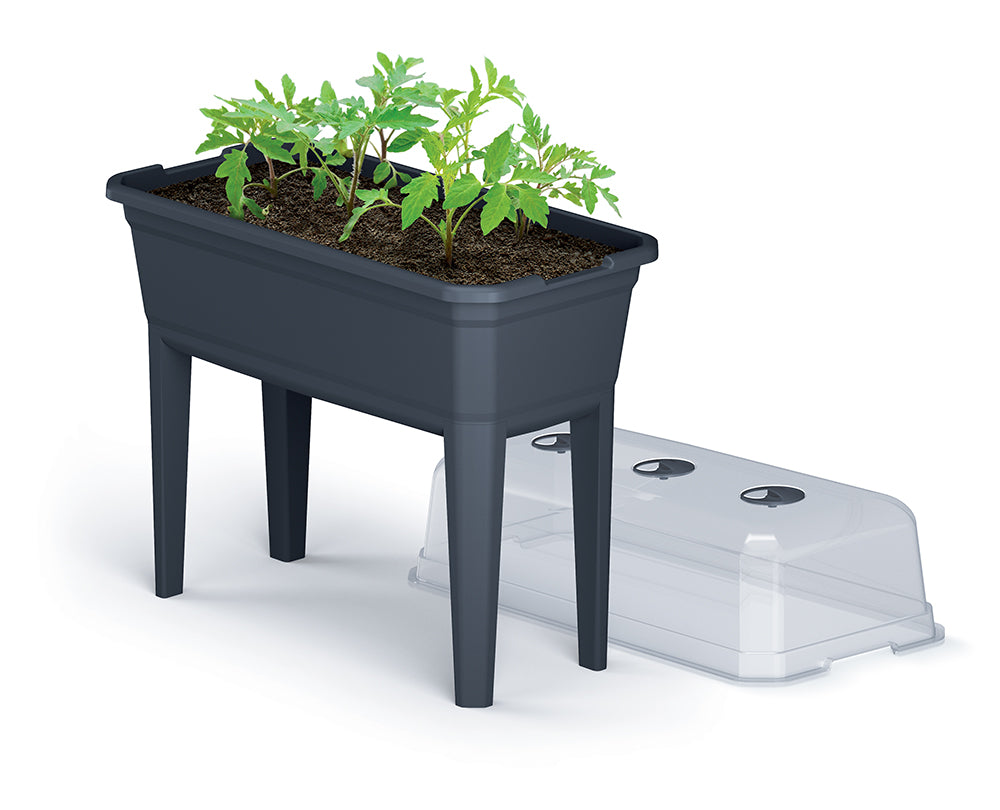 Prosperplast Respana Large "Mini" Greenhouse & Planter Box  749mm (L) x 368mm (W) x 777mm (H)