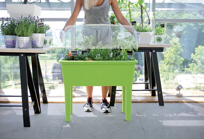 Prosperplast Respana Large "Mini" Greenhouse & Planter Box  749mm (L) x 368mm (W) x 777mm (H)