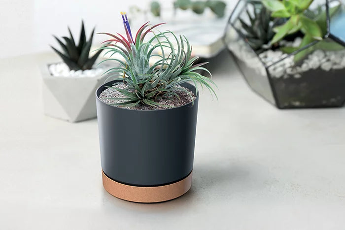 Prosperplast TUBO PM Flowerpot - 239 (w) x 231 (h)