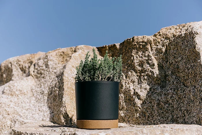 Prosperplast TUBO PM Flowerpot - 239 (w) x 231 (h)