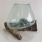 Driftwood Tear Glass Vase Medium